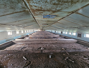 Bourací práce na hale chovu prasnic